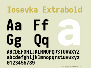 Iosevka Extrabold 2.3.2 Font Sample