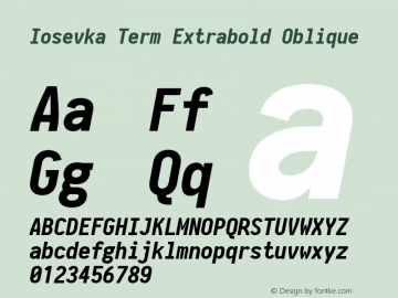 Iosevka Term Extrabold Oblique 2.3.2图片样张