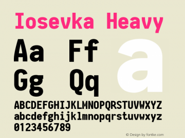 Iosevka Heavy 2.3.2 Font Sample