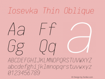 Iosevka Thin Oblique 2.3.2; ttfautohint (v1.8.3) Font Sample