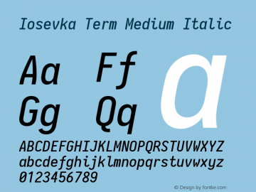 Iosevka Term Medium Italic 2.3.2; ttfautohint (v1.8.3)图片样张