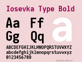 Iosevka Type Bold 2.3.2; ttfautohint (v1.8.3)图片样张