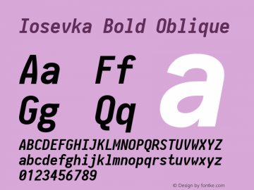 Iosevka Bold Oblique 2.3.2; ttfautohint (v1.8.3) Font Sample