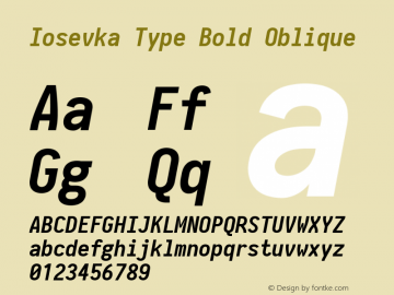 Iosevka Type Bold Oblique 2.3.2; ttfautohint (v1.8.3)图片样张