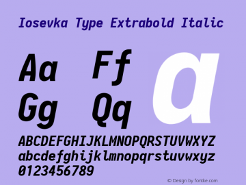 Iosevka Type Extrabold Italic 2.3.2; ttfautohint (v1.8.3)图片样张