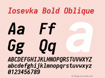 Iosevka Bold Oblique 2.3.2 Font Sample