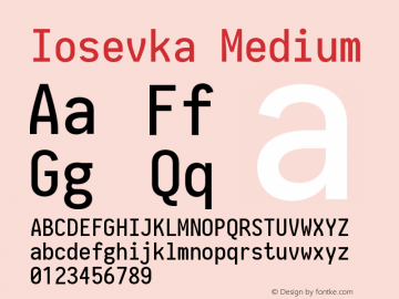Iosevka Medium 2.3.2 Font Sample