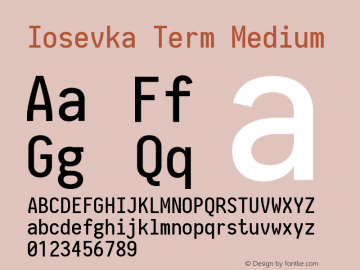 Iosevka Term Medium 2.3.2图片样张