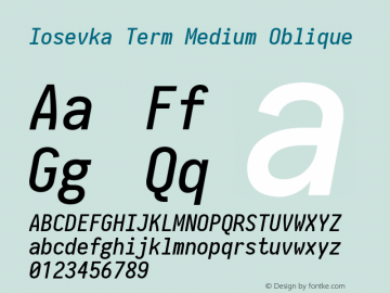 Iosevka Term Medium Oblique 2.3.2图片样张