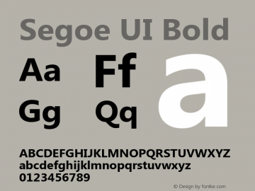 Segoe UI Bold Version 1.00; ttfautohint (v1.6) Font Sample