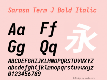 Sarasa Term J Bold Italic 图片样张
