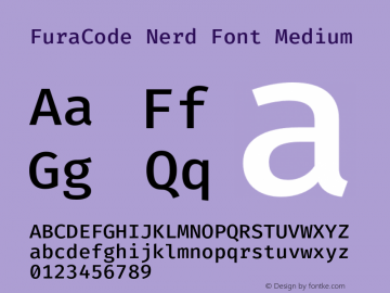 Fura Code Medium Nerd Font Complete Version 1.206;PS 001.206;hotconv 1.0.88;makeotf.lib2.5.64775 Font Sample