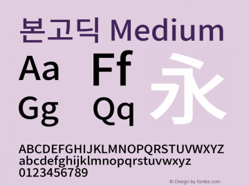 본고딕 Medium 图片样张