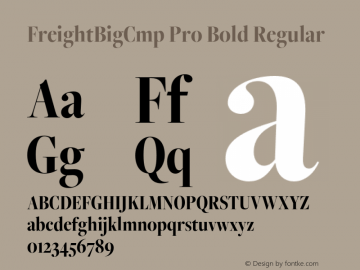 FreightBigCmp W03 Bold Version 4.00 Font Sample