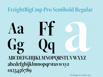 FreightBigCmp W05 Semibold Version 4.00 Font Sample