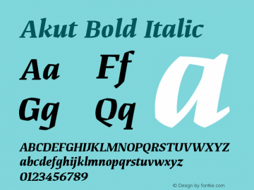 Akut Bold Italic Version 1.000;PS 001.000;hotconv 1.0.88;makeotf.lib2.5.64775 Font Sample