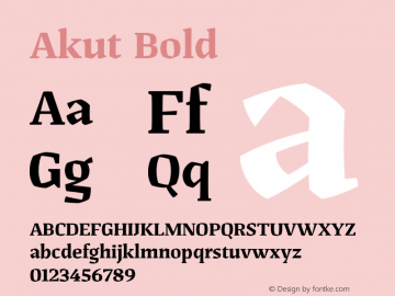 Akut Bold Version 1.000;PS 001.000;hotconv 1.0.88;makeotf.lib2.5.64775 Font Sample