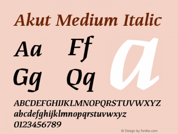Akut Medium Italic Version 1.000;PS 001.000;hotconv 1.0.88;makeotf.lib2.5.64775 Font Sample