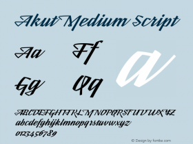 Akut Medium Script Version 1.000;PS 001.000;hotconv 1.0.88;makeotf.lib2.5.64775 Font Sample