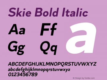 Skie Bold Italic Version 1.000;hotconv 1.0.109;makeotfexe 2.5.65596 Font Sample