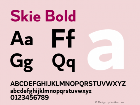 Skie Bold Version 1.000;hotconv 1.0.109;makeotfexe 2.5.65596 Font Sample