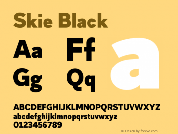 Skie Black Version 1.000;hotconv 1.0.109;makeotfexe 2.5.65596 Font Sample