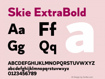 Skie ExtraBold Version 1.000;hotconv 1.0.109;makeotfexe 2.5.65596 Font Sample