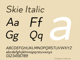 Skie Italic Version 1.000;hotconv 1.0.109;makeotfexe 2.5.65596 Font Sample