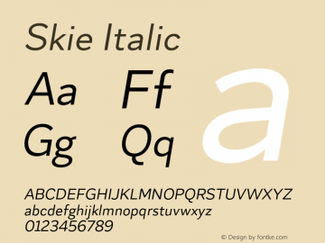 Skie Italic Version 1.000;hotconv 1.0.109;makeotfexe 2.5.65596 Font Sample