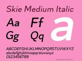 Skie Medium Italic Version 1.000;hotconv 1.0.109;makeotfexe 2.5.65596 Font Sample