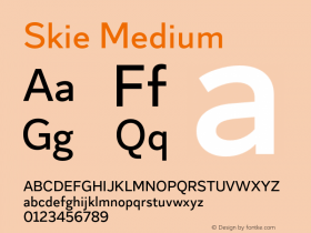 Skie Medium Version 1.000;hotconv 1.0.109;makeotfexe 2.5.65596 Font Sample