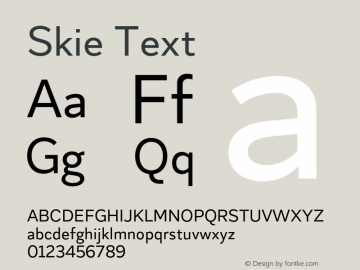 Skie Text Version 1.000;hotconv 1.0.109;makeotfexe 2.5.65596 Font Sample