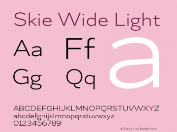 Skie Wide Light Version 1.000;hotconv 1.0.109;makeotfexe 2.5.65596图片样张
