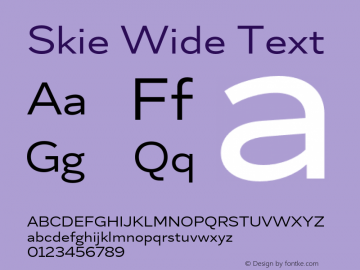 Skie Wide Text Version 1.000;hotconv 1.0.109;makeotfexe 2.5.65596图片样张