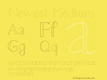 Newest Medium Version 001.000 Font Sample