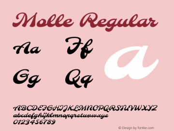 Molle Version 1.001; ttfautohint (v0.92) -l 12 -r 12 -G 200 -x 10 -w 