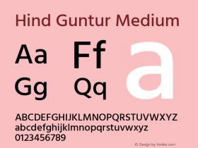 Hind Guntur Medium Version 1.001;PS 1.0;hotconv 1.0.86;makeotf.lib2.5.63406; ttfautohint (v1.5.33-1714) -l 8 -r 50 -G 200 -x 13 -D latn -f telu -w G -W -c -X 