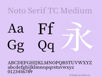 Noto Serif TC Medium Version 1.001;PS 1.001;hotconv 16.6.54;makeotf.lib2.5.65590 Font Sample