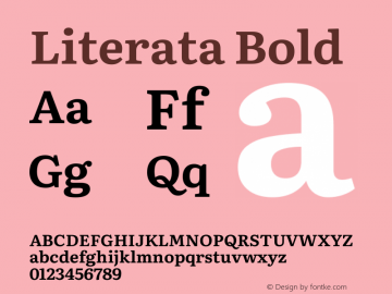 Literata Bold Version 2.201图片样张