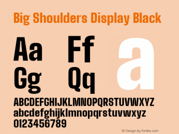 Big Shoulders Display Black Version 1.000; ttfautohint (v1.8.2)图片样张