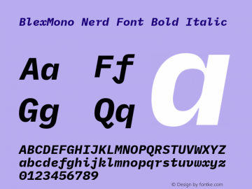 Blex Mono Bold Italic Nerd Font Complete Version 2.000 Font Sample