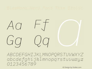 Blex Mono Thin Italic Nerd Font Complete Version 2.000 Font Sample