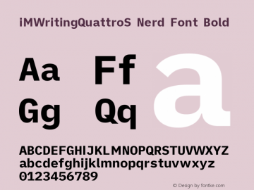 iM Writing Quattro S Bold Nerd Font Complete Version 2.000 Font Sample