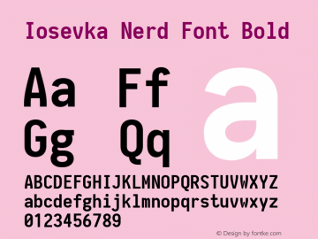 Iosevka Bold Nerd Font Complete 2.1.0; ttfautohint (v1.8.2) Font Sample