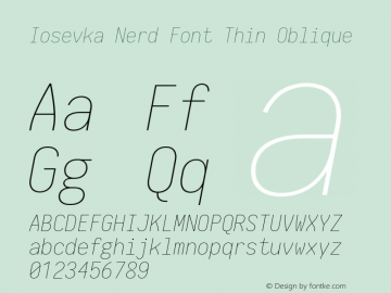 Iosevka Term Thin Oblique Nerd Font Complete 2.1.0; ttfautohint (v1.8.2) Font Sample