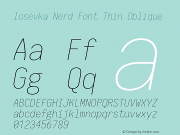 Iosevka Thin Oblique Nerd Font Complete 2.1.0; ttfautohint (v1.8.2) Font Sample