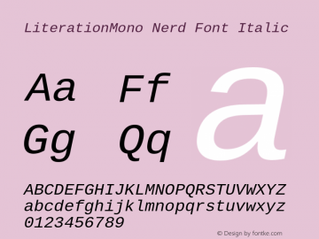 Literation Mono Italic Nerd Font Complete Version 2.00.5 Font Sample