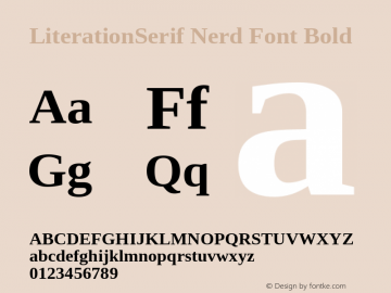 Literation Serif Bold Nerd Font Complete Version 2.00.5图片样张