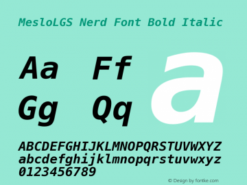 Meslo LG S Bold Italic Nerd Font Complete 1.210 Font Sample