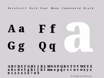 Noto Serif Condensed Black Nerd Font Complete Mono Version 2.000;GOOG;noto-source:20170915:90ef993387c0; ttfautohint (v1.7)图片样张